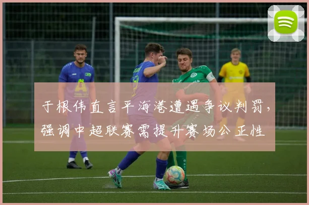 于根伟直言平海港遭遇争议判罚，强调中超联赛需提升赛场公正性