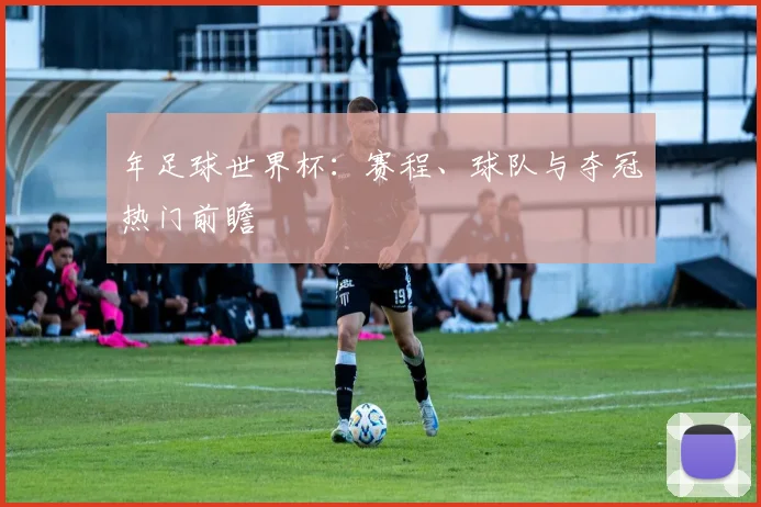 年足球世界杯：赛程、球队与夺冠热门前瞻
