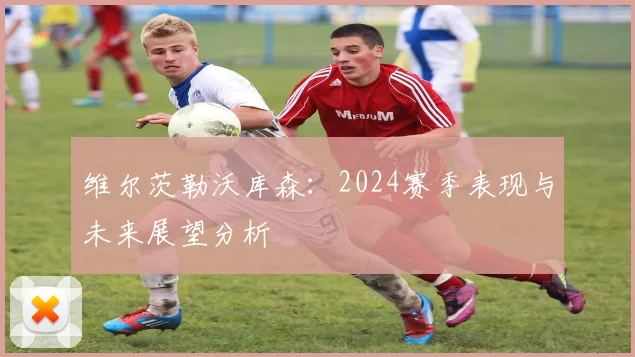 维尔茨勒沃库森：2024赛季表现与未来展望分析
